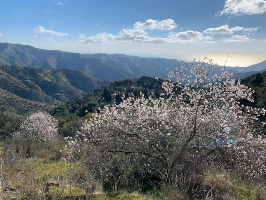 Holiday home Casa Cielo- Above The Clouds - Natural Park